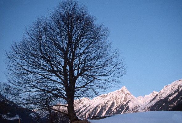 Winterlandschaft_Mayrhofen_TVB.jpg